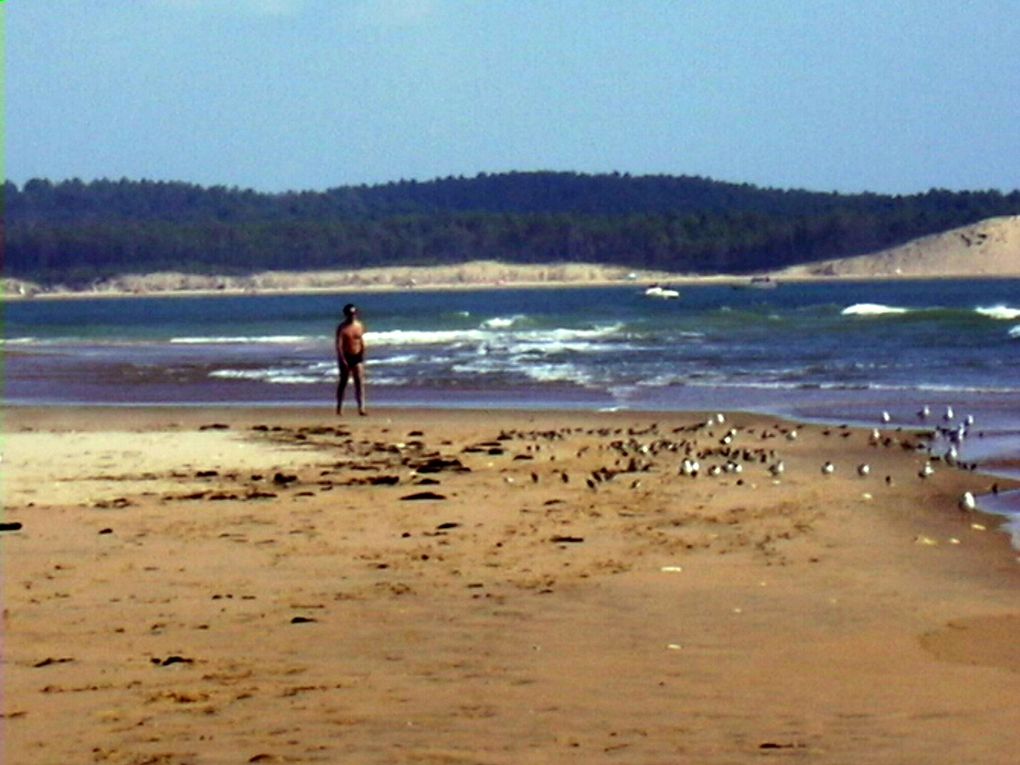 ILE D'OLERON 
ST TROJAN LA BALNEAIRE, LA BAIE DE GATSEAU, LE GRAND VILLAGE PLAGE ET SON PORT DES SALINES, ST PIERRE AVEC SES RUELLES PIETONNES ET SON PORT DE PECHE DE LA COTINIERE, LE PERTHUIS MAUMUSSON, LE PETIT TRAIN DE ST TROJAN, LE FORT BOYARD E