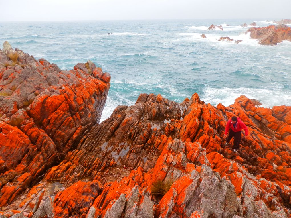 Album - tasmania