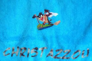 tazz sur drap de bain