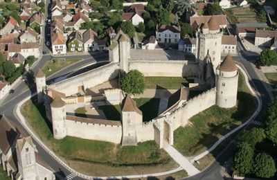 Château fort de Blandy-les-tours