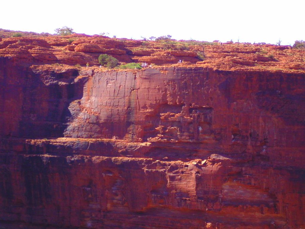 Album - The-Ultimate-Oz-Experience-2--Outback--The-Olgas---Ayers-Rock---Kings Canyon