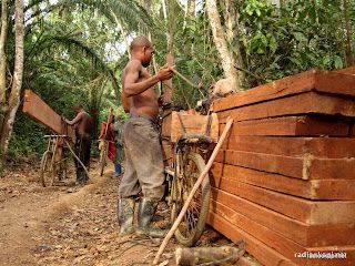 Actualité Province Orientale : les exploitants artisanaux de bois dénoncent la hausse des taxes