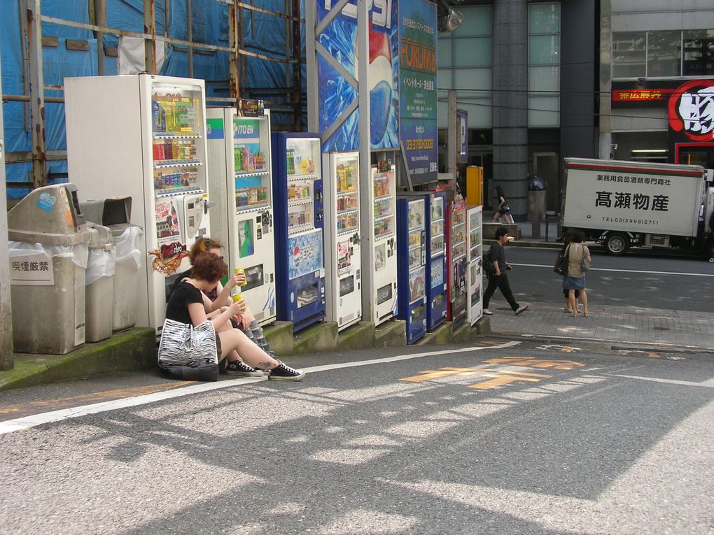 Ein wirklich schöner Urlaub in Tokyo 2010