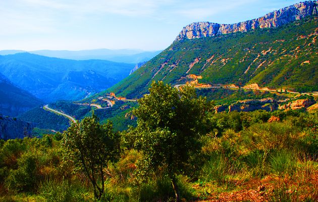 en montant vers la Sainte Baume (collection "souvenirs")