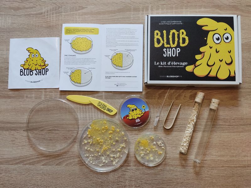 Test du coffret d'élevage d'un blob et découverte de Blob Shop