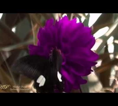 Bonne journée à vous tous