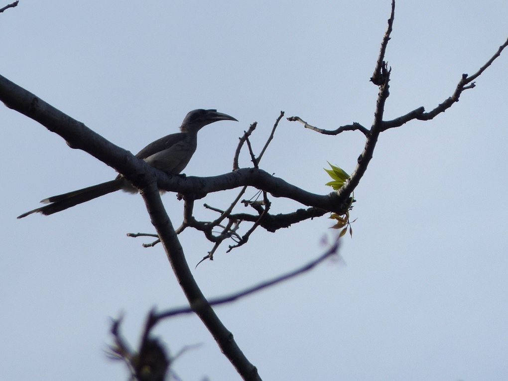 Album - Uttarakhand