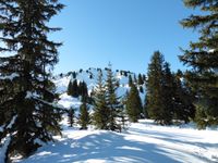 Proche du téléski, la piste pour les raquettes. Au fond apparait la Tête de Cuvy.