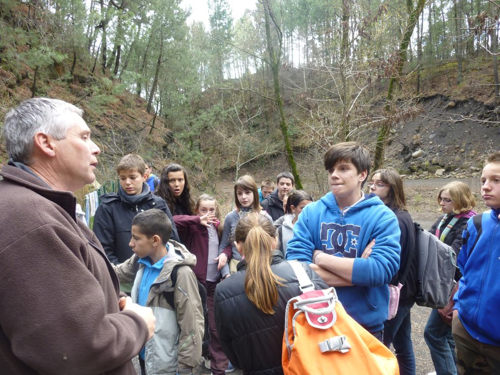 Album - Grotte-Trabuc---Foret-fossiles