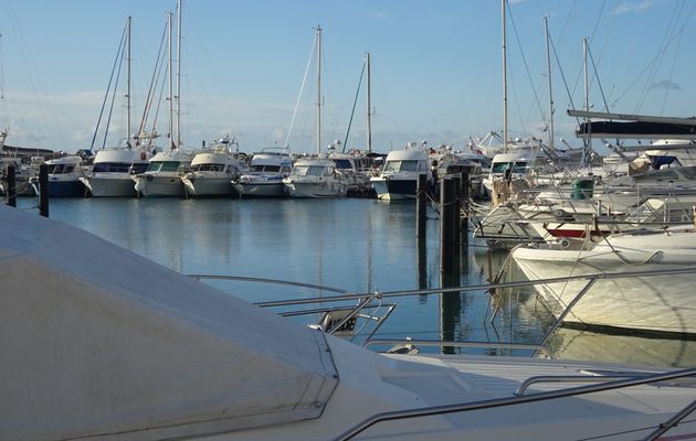 La Camargue-La digue de la mer-vendredi 6 mars 2020