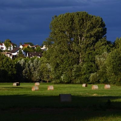 Photos de proximité...