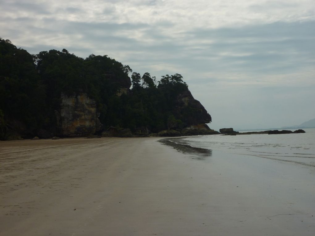 Kuching - Mongkos - Bako national park.
Certaines photos a Mongkos sont de Jennie ou depuis son appareil car en bon cretin, je decouvre que mes deux batteries sont vides...