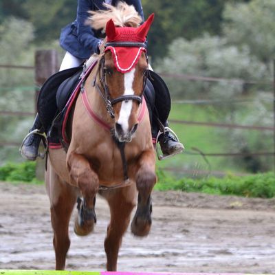 Ma fille fait de l'équitation : organisation et gestion du stress 