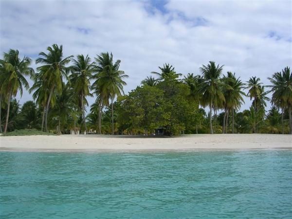 Mon voyage en 2006 en RP de trois semaines péninsule de samana, cabarette et bayahibe avec excursion géniale à l'ile de saona