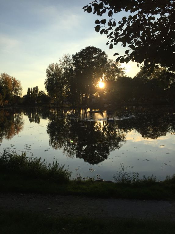 FIN des vacances d’automne.Déjà...