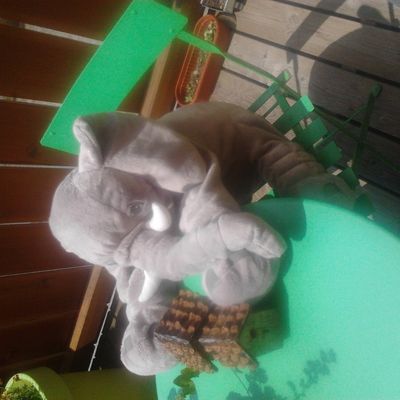 Eléphant en peluche