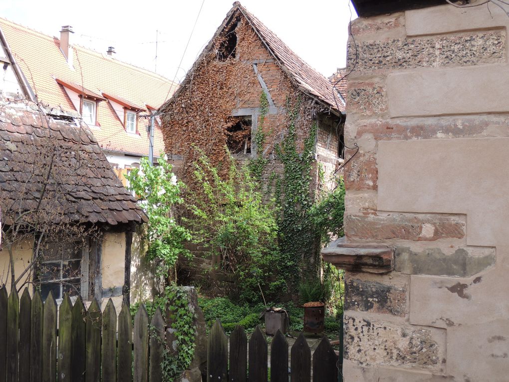 Album - Villages-d-Alsace: Bouxwiller