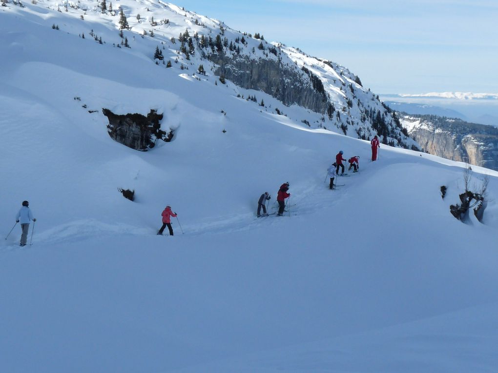 samedi 25 janvier