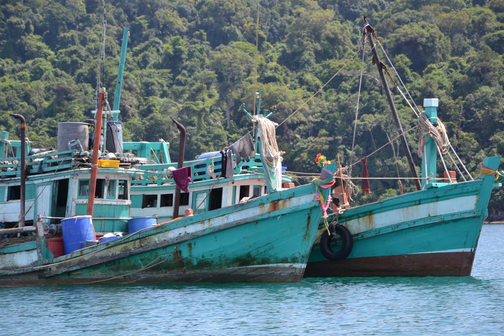 Koh Rong island au large de Sihanoukville et du Cambodge, nature encore préservée...