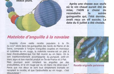 La feuille de navet n°8 est disponible