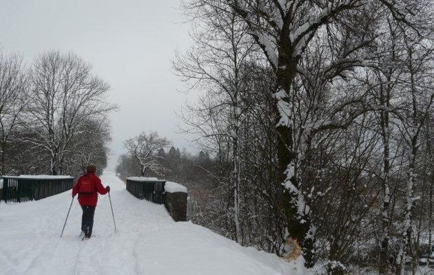 Marais de Giez, 9 janvier