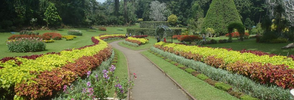 Der Botanische Garten von Peradeniya bei Kandy