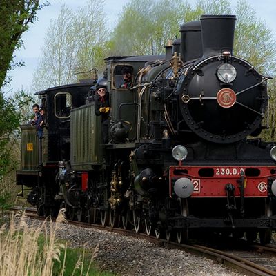 Locomotive vapeur 230 D 9 en baie de Somme (2)
