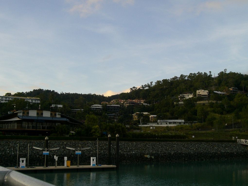 Album - Whitsunday Dive Adventure