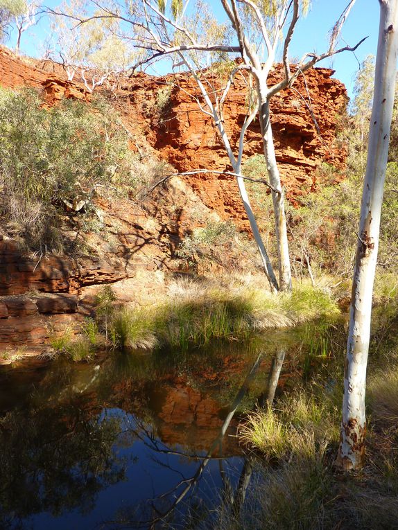 Album - 10Q ningaloo--karijini---Broome