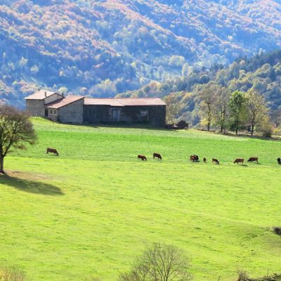 Couleurs d'automne / Balade en Haute-Loire