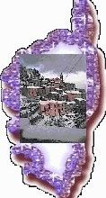 Etre corse