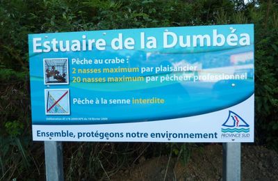 Pêche reglementée dans l'Estuaire de la Dumbéa: la Province réglemente, l'Association le fait savoir
