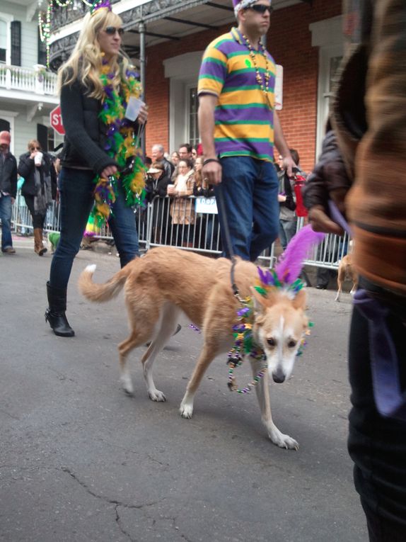 Première parade de notre premier carnaval.