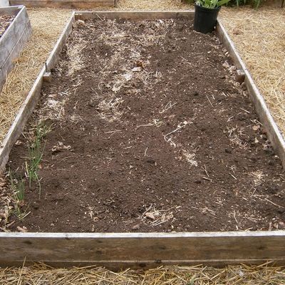 Potager et plate-bande facile