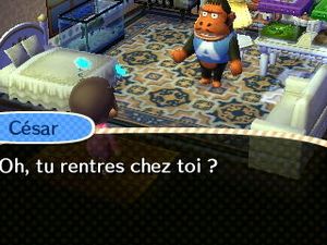 Le vingt deuxième jour :