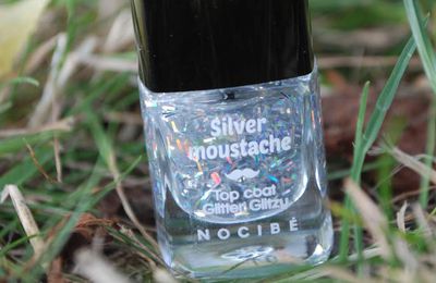 Vernis de chez Nocibé