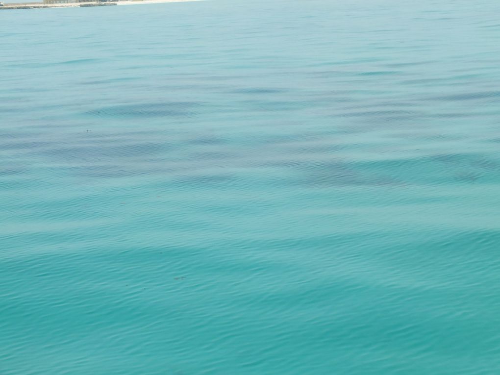 journée de repos sur l'île de Moucha!!! une eau turquoise de pure beautée!