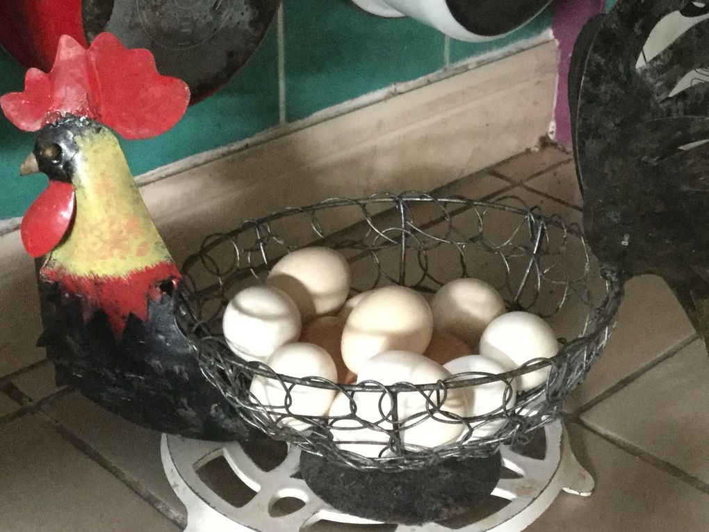 Bol renverse à ma façon : pour fêter le nouvel an Chinois et entrer dans l'année du coq avec la Tendresse en cuisine et le blog de Cata