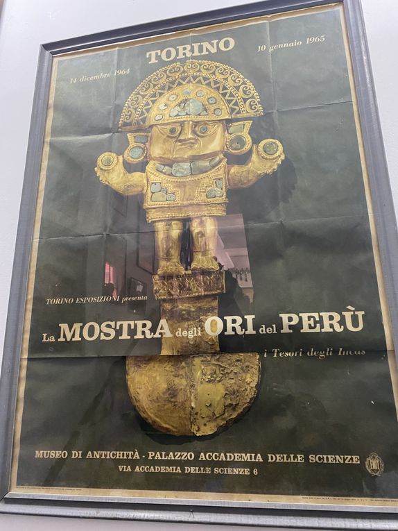 Un matin en or pour les Llamitos au Musée d’Or de Lima 