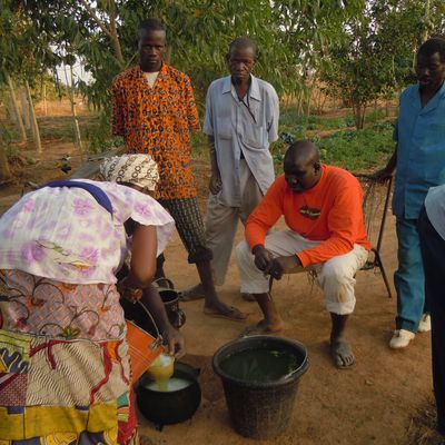 L'Afrique dans les oreilles