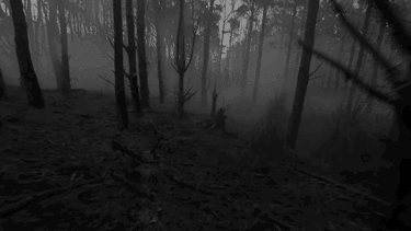 Terror in the Woods – Gespenster im Wald