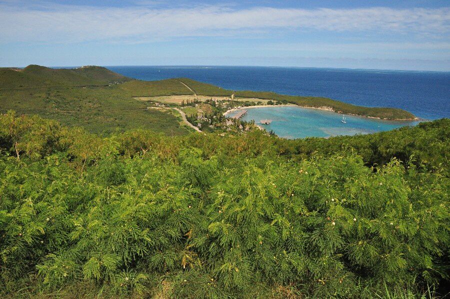 Album - Prony kuendu et noumea