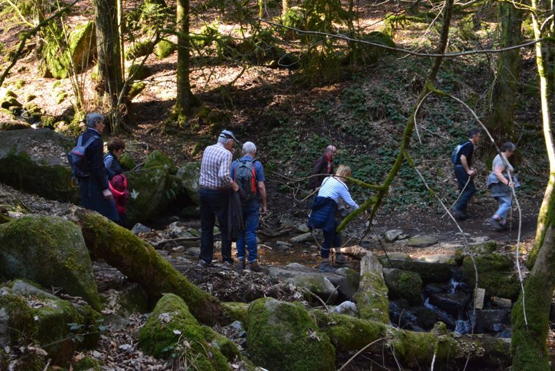 Le 24 Mars 2022 - Les Cascades de Tendon