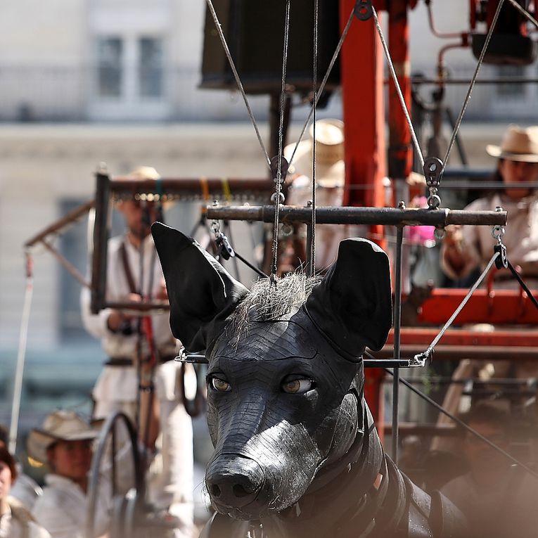 Album - Les carres de Royal de Luxe