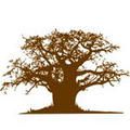 Projet Baobab