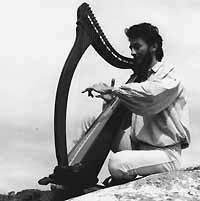 dominig bouchaud, un harpiste français de culture bretonne qui tente d'adapter les possibiltés de la harpe celtique à la musique traditionnelle