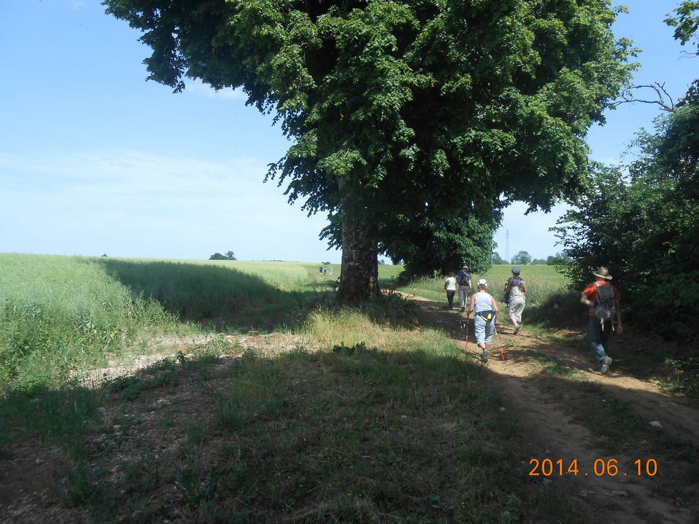 SORTIE : Batterie de HUMES