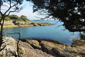 Chemin des douaniers de Saint-Palais à Royan (plage de Nauzan-plage de Pontaillac)