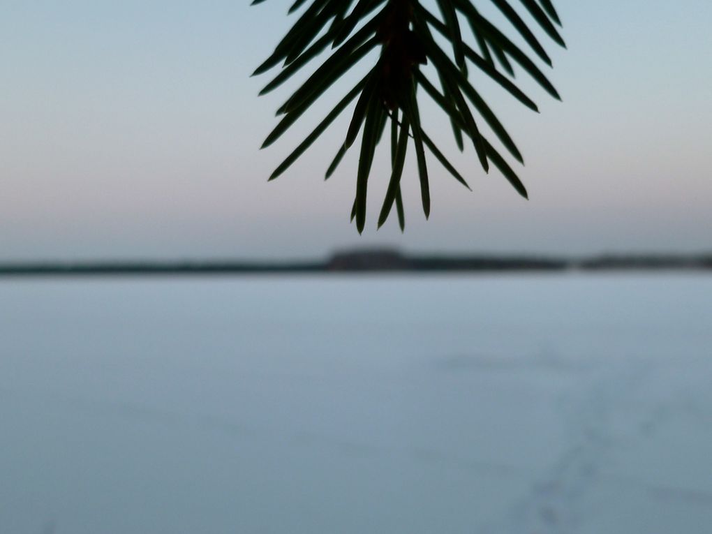 Le lac à coté de l'Université, transformé pour quelques mois en patinoire géante / plaine pour ski de fond / coin sympa pour prendre le vent glacial et se transformer en stalagmite (entourer la mention choisie)