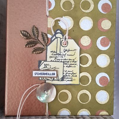 Mini-album "s'émerveiller" Jeudi 24 et Mardi 29 Septembre 2020